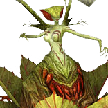 Blood Devil Flower